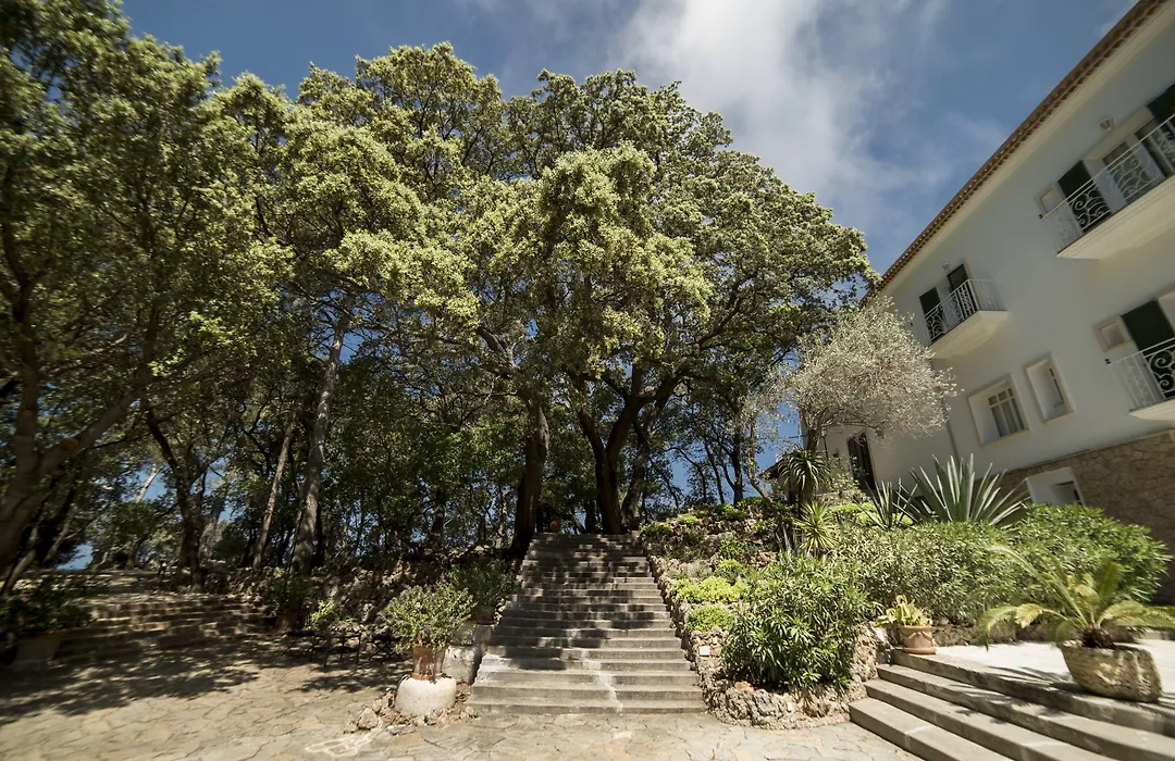 Bordoy Continental Valldemossa-1